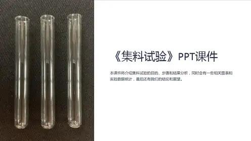 《集料试验》课件