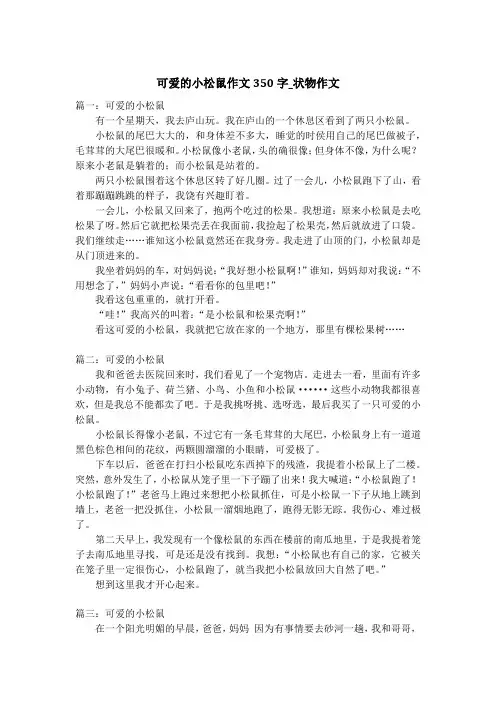 可爱的小松鼠作文350字_状物作文