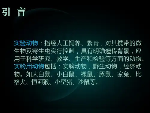 常用动物实验技术简介_PPT幻灯片