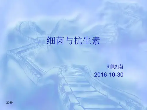 细菌与抗生素ppt课件