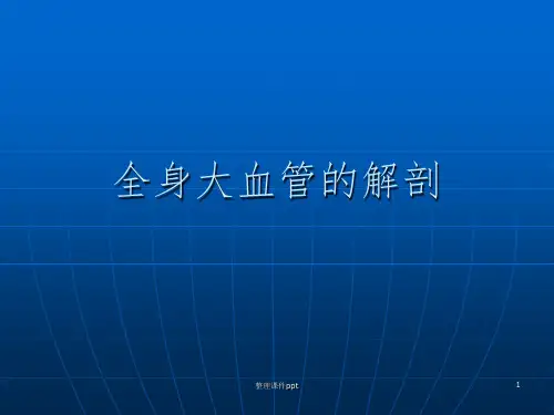 《全身大血管解剖》PPT课件