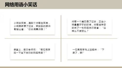 综合性学习《我们的互联网时代》ppt