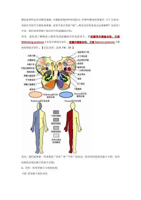 脑干综合征之延髓综合征