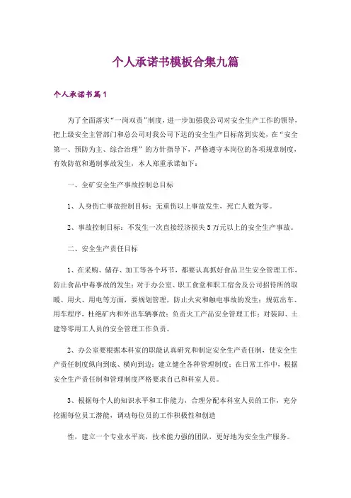 个人承诺书模板合集九篇