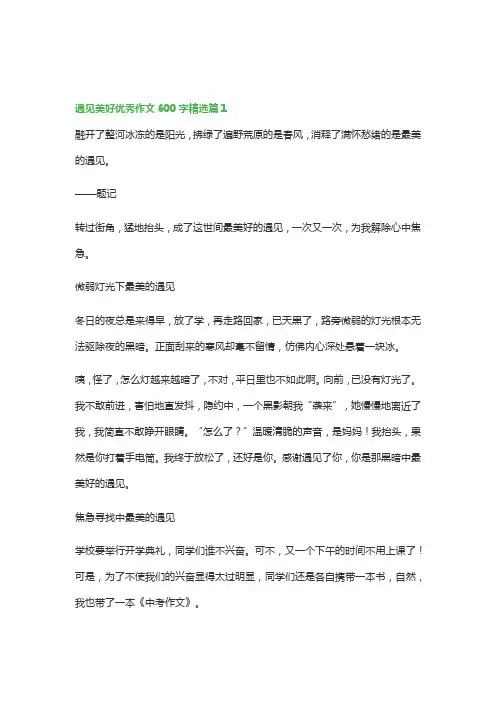 遇见美好优秀作文600字(5篇)