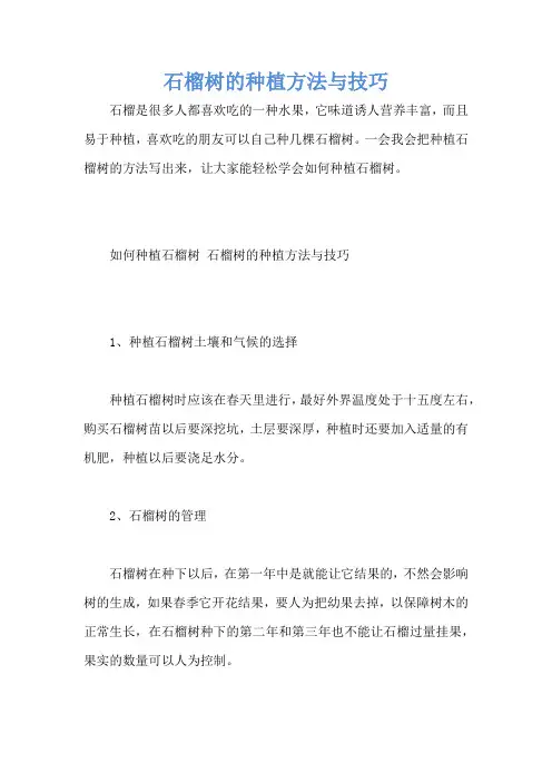 石榴树的种植方法与技巧