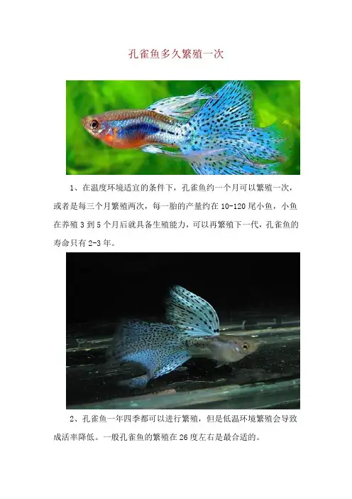 孔雀鱼多久繁殖一次