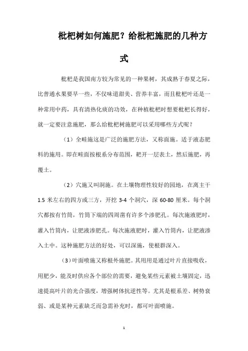 枇杷树如何施肥？给枇杷施肥的几种方式