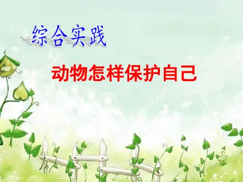 动物自我保护方法(课堂PPT)