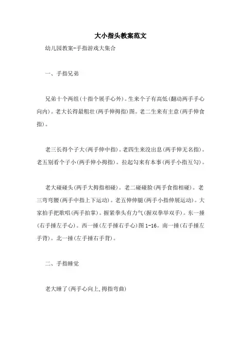 大小指头教案范文