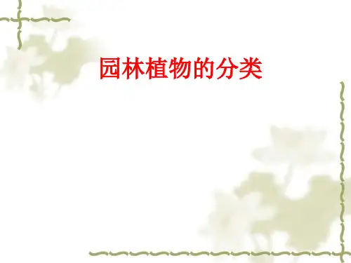 园林花卉的分类
