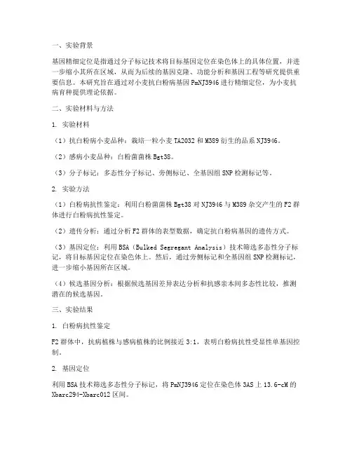 基因精细定位实验报告