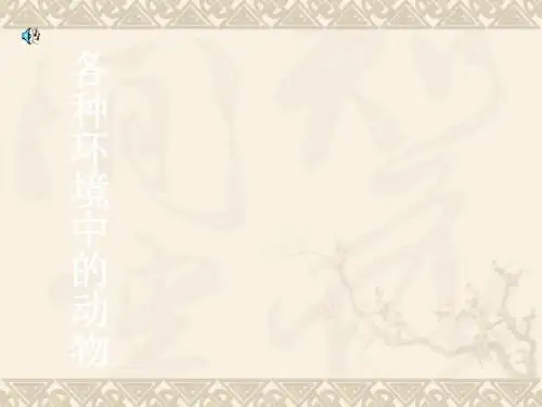 初中八年级(初二)生物 第一章各种环境中的动物复习课件.ppt