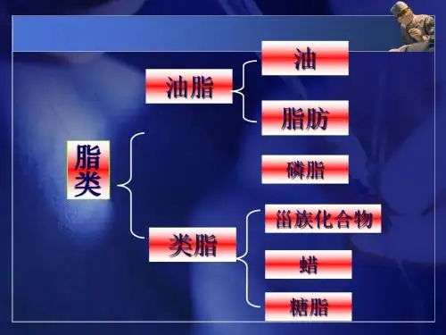 医用化学-脂类