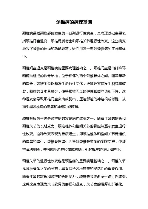 颈椎病的病理基础