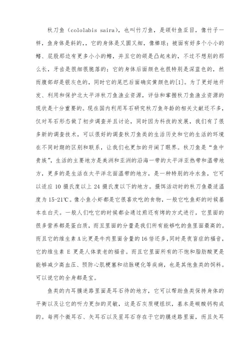秋刀鱼(cololabis saira),属颌针鱼亚目完成稿