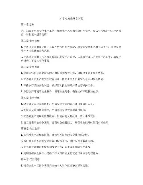 小水电安全规章制度