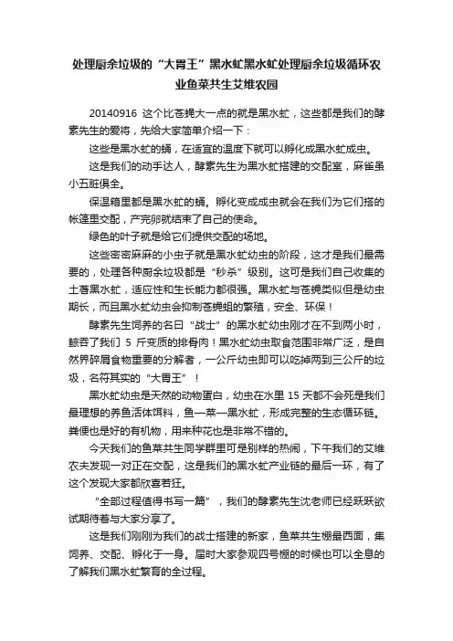 处理厨余垃圾的“大胃王”黑水虻黑水虻处理厨余垃圾循环农业鱼菜共生艾维农园