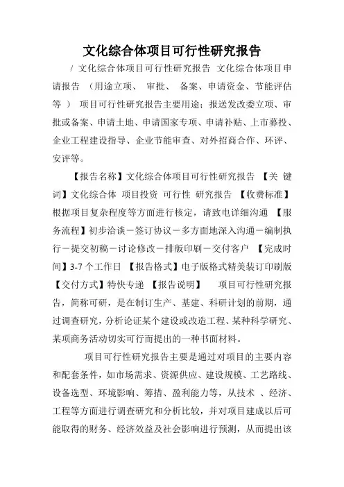 文化综合体项目可行性研究报告.doc