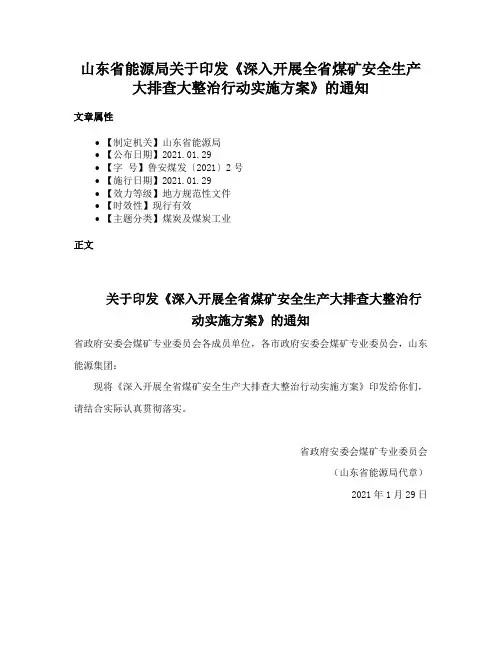 山东省能源局关于印发《深入开展全省煤矿安全生产大排查大整治行动实施方案》的通知