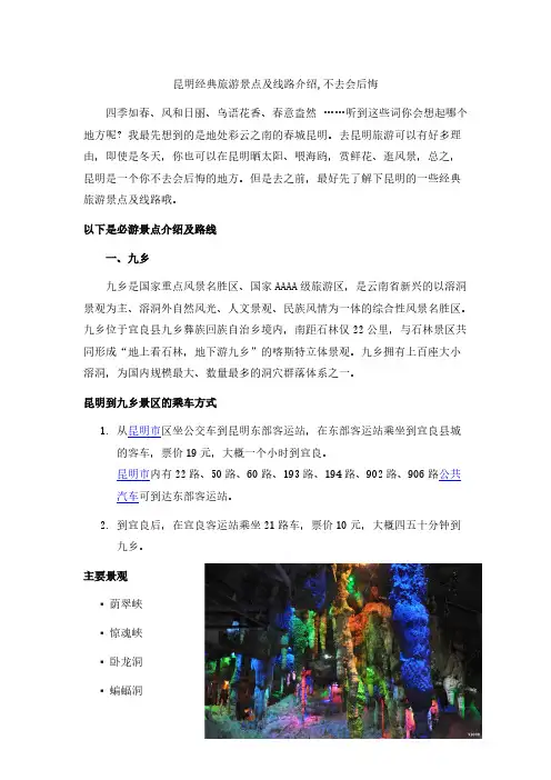 [VIP专享]昆明经典旅游景点及线路介绍,不去会后悔