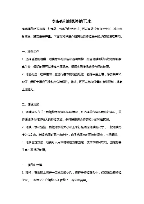 如何铺地膜种植玉米