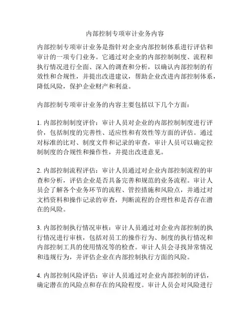 内部控制专项审计业务内容