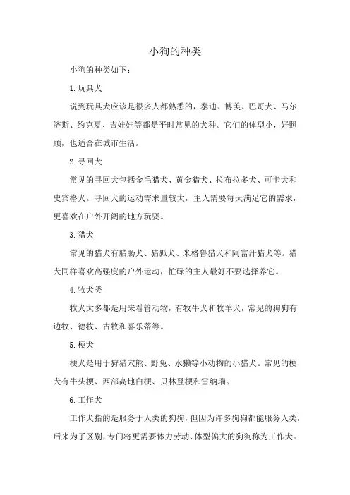 小狗的种类