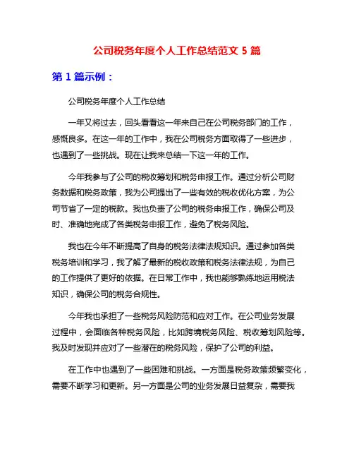 公司税务年度个人工作总结范文5篇