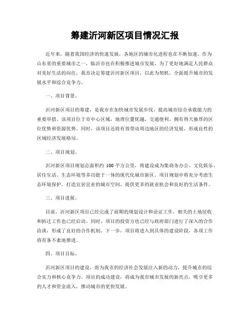 筹建沂河新区项目情况汇报