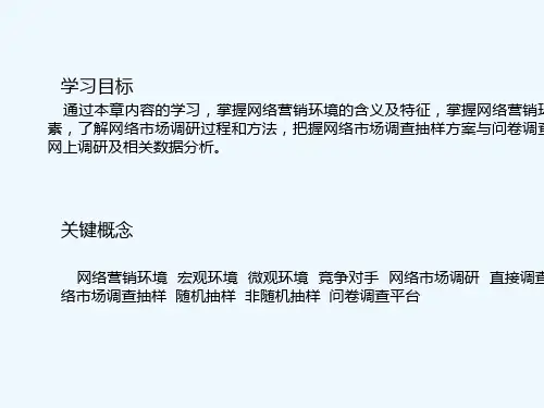 网络营销环境与市场研究 PPT