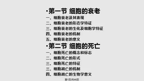 细胞的衰老和死亡PPT课件