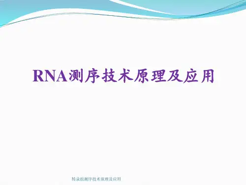 转录组测序技术原理及应用 ppt课件