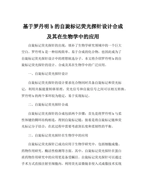 基于罗丹明b的自旋标记荧光探针设计合成及其在生物学中的应用