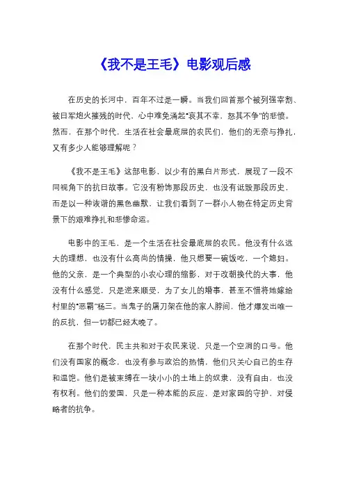 《我不是王毛》电影观后感