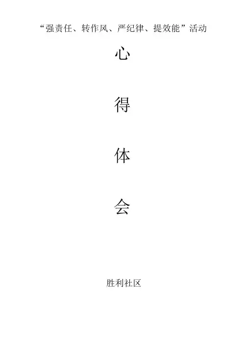 强责任转作风严纪律提效能心得体会