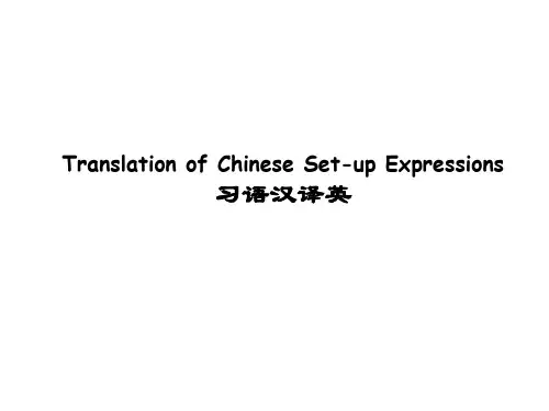 成语的翻译(课堂版)