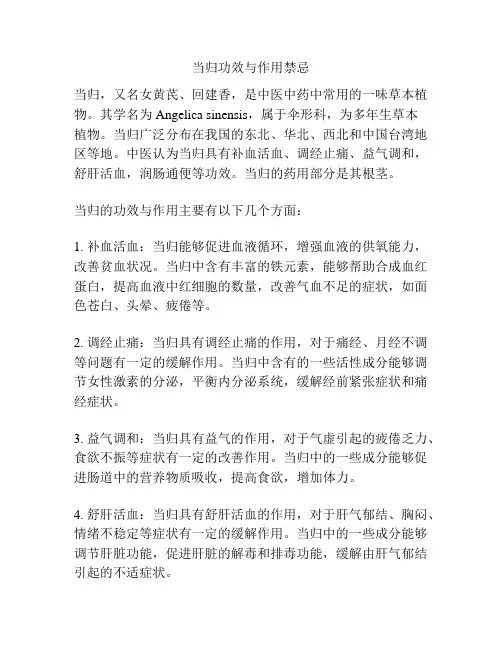 当归功效与作用禁忌