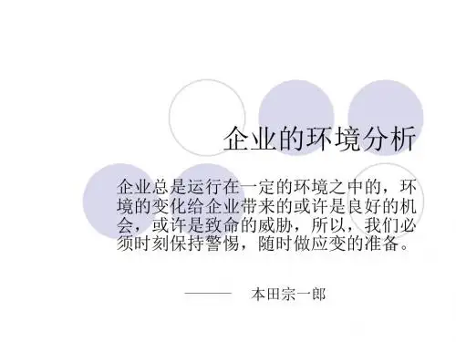 企业的环境分析ppt课件