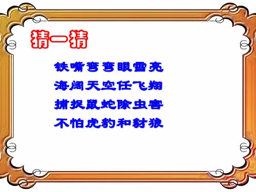 苏教版二年级语文上8《小鹰学飞》小学课件