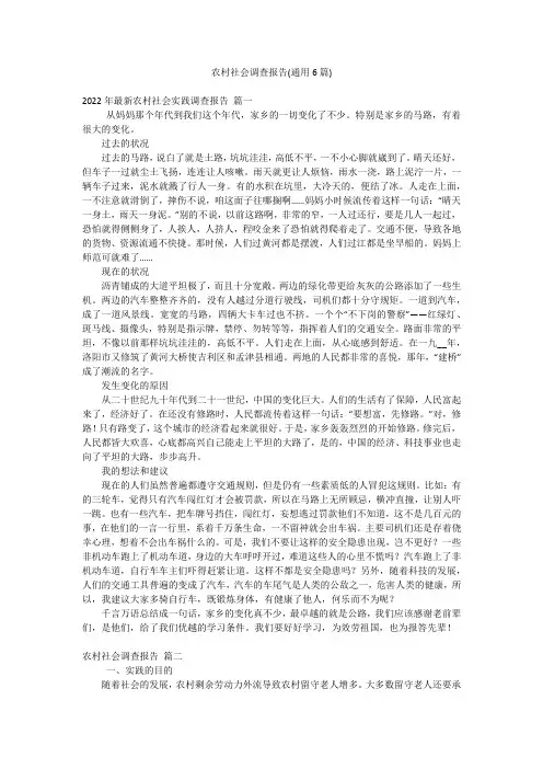 农村社会调查报告(通用6篇)