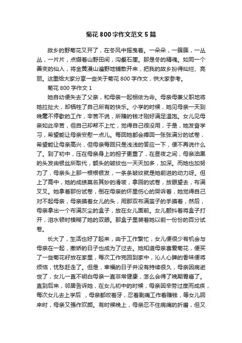 菊花800字作文范文5篇