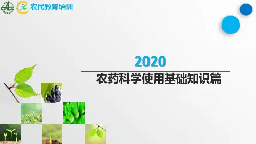 农药科学使用基础知识篇