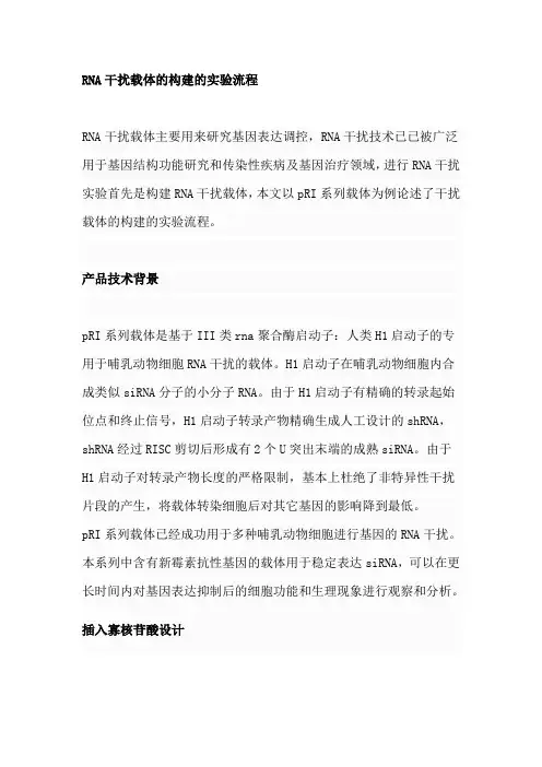 RNA干扰载体的构建的实验流程