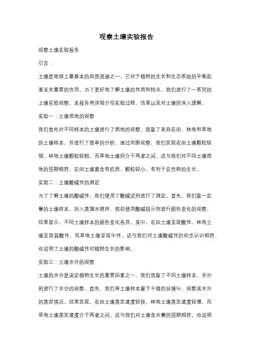 观察土壤实验报告