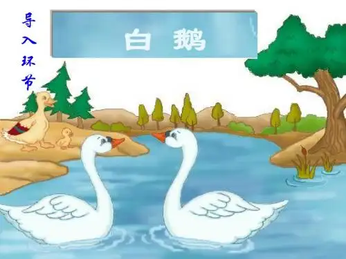 人教版小学语文《白鹅》ppt课件共12页