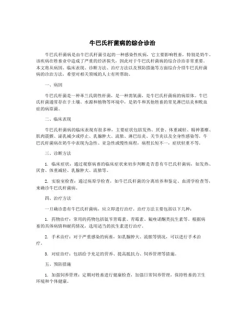 牛巴氏杆菌病的综合诊治