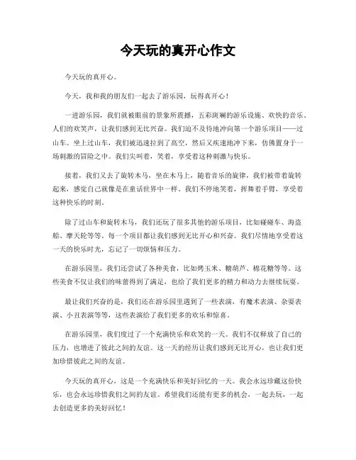 今天玩的真开心作文