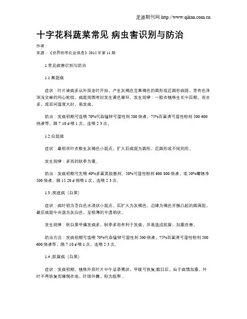十字花科蔬菜常见 病虫害识别与防治
