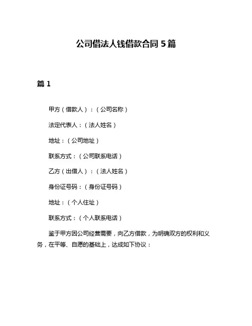 公司借法人钱借款合同5篇
